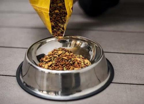 Pouring dry kibble into a stainless steel bowl to measure accurate puppy food portions and daily calories
