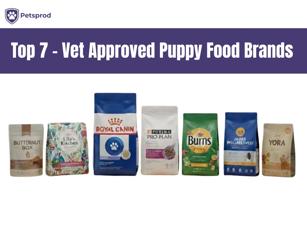 Seven vet-approved puppy food brands including Royal Canin Purina Pro Plan Butternut Box and Lily's Kitchen