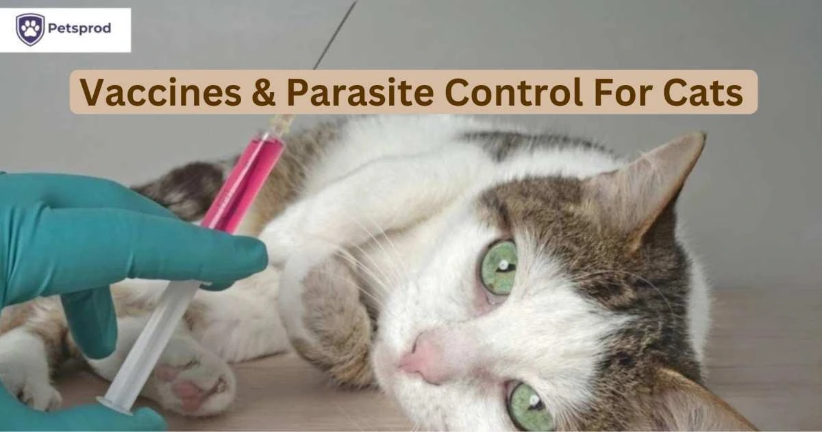 vaccines and parasite control cats UK
